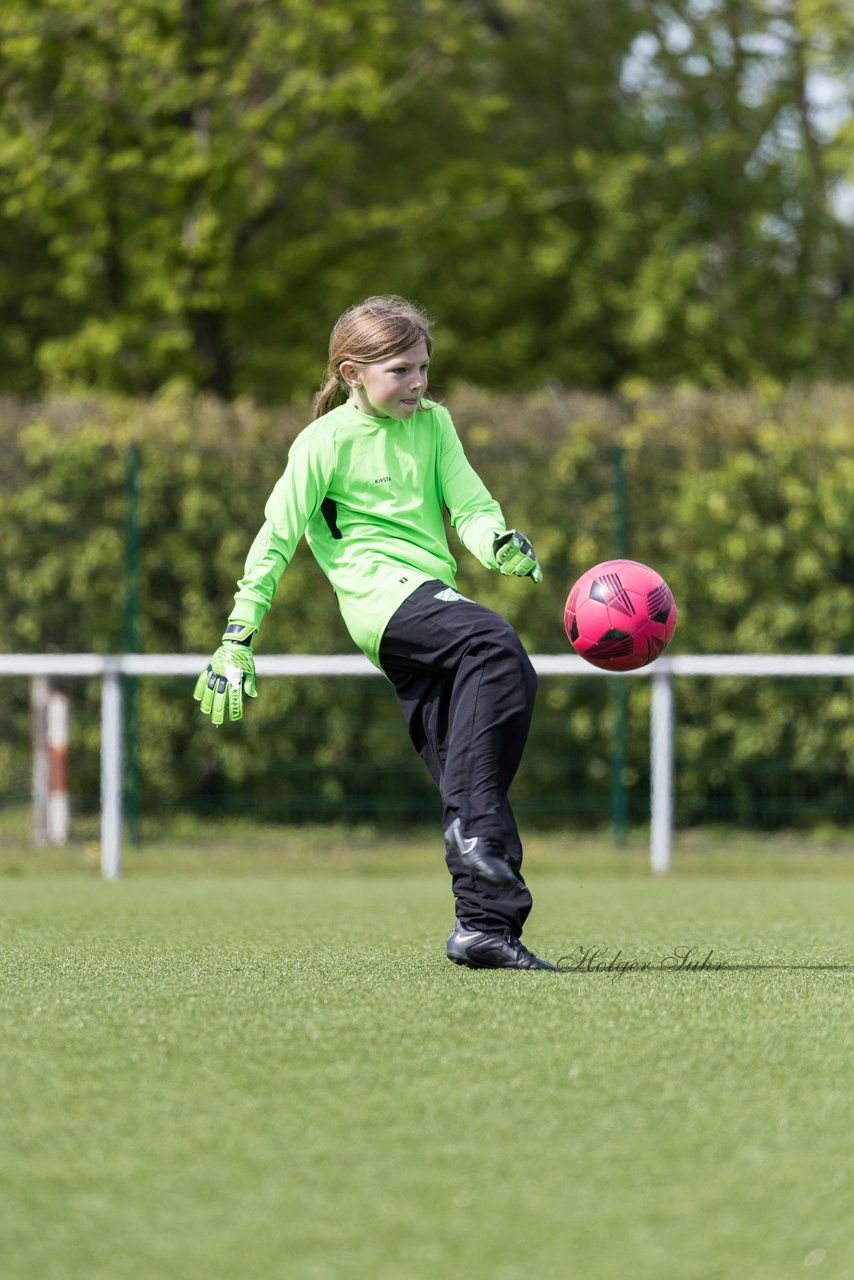 Bild 195 - wBJ SV Wahlstedt - TSV Wentorf-Dandesneben : Ergebnis: 7:1